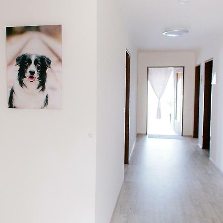 Steira-Studios Ehrenhausen Dış mekan fotoğraf